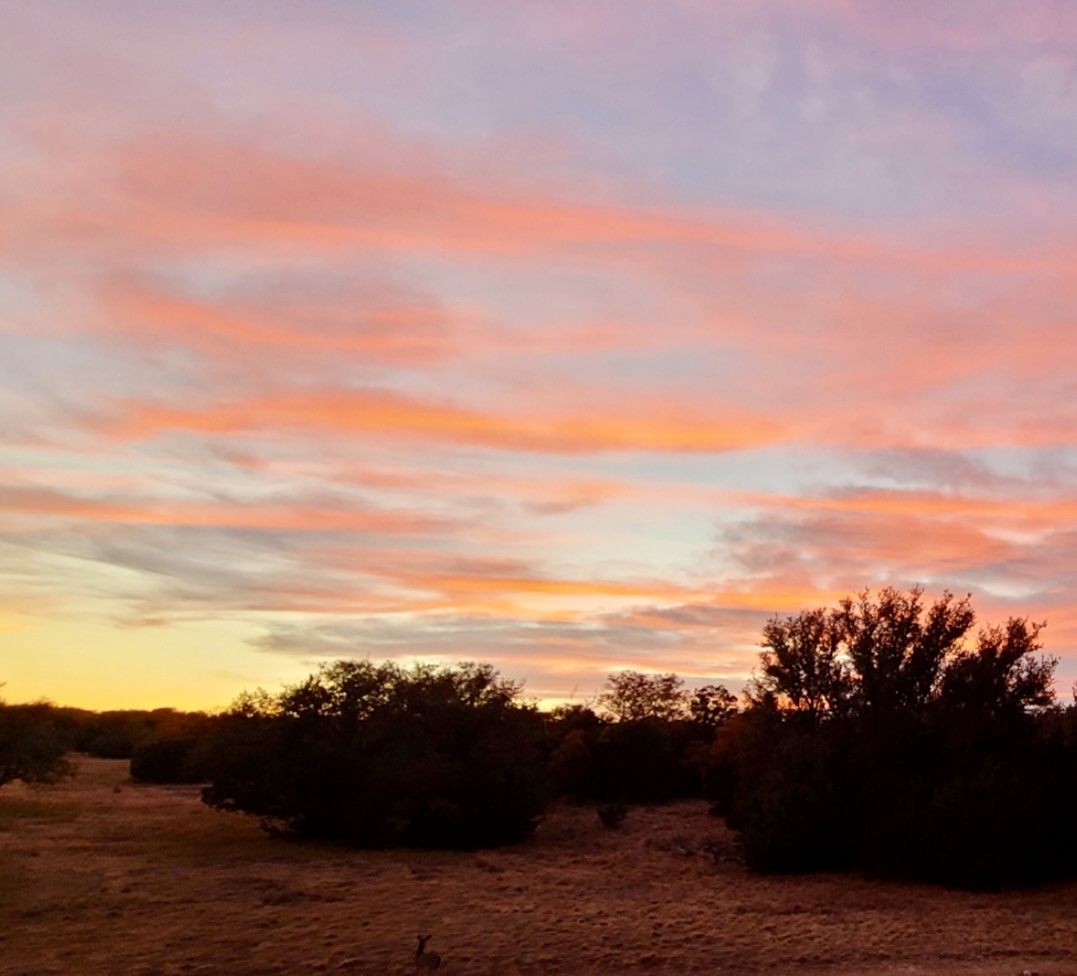 Listing Main Thumbnail #1