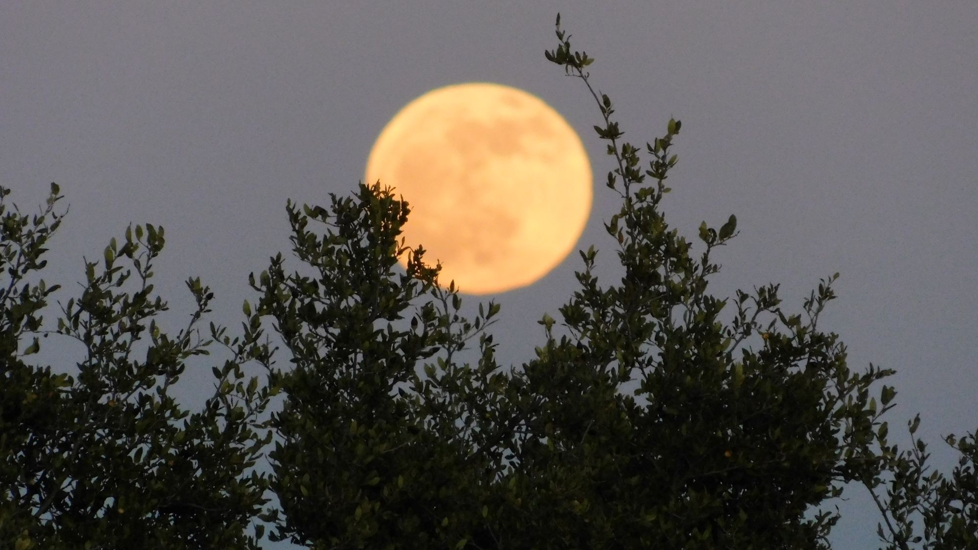 Listing Main Thumbnail #1