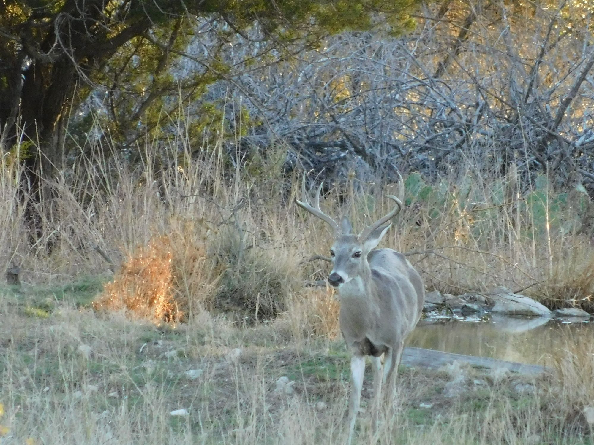 Listing Main Thumbnail #1