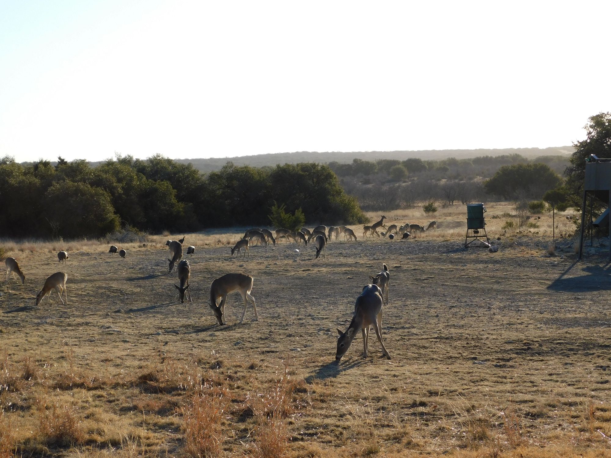 Listing Main Thumbnail #1