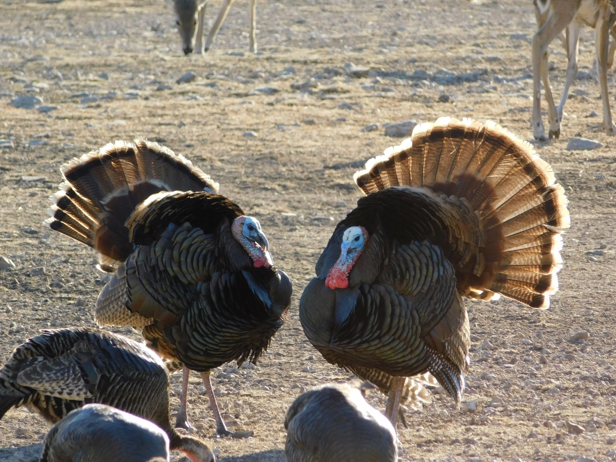 Listing Main Thumbnail #1