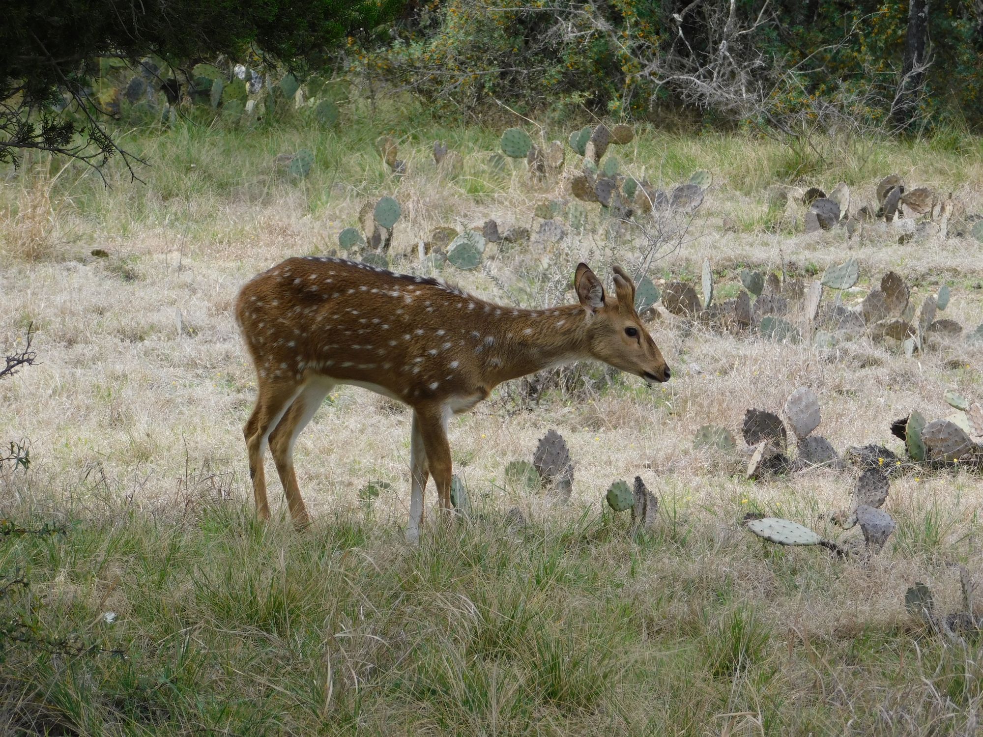 Listing Main Thumbnail #1