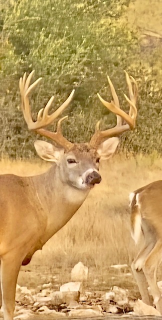 Listing Main Thumbnail #1