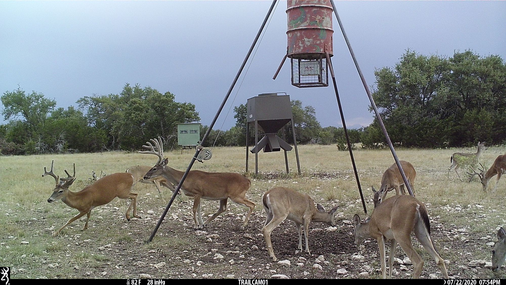 Listing Main Thumbnail #1