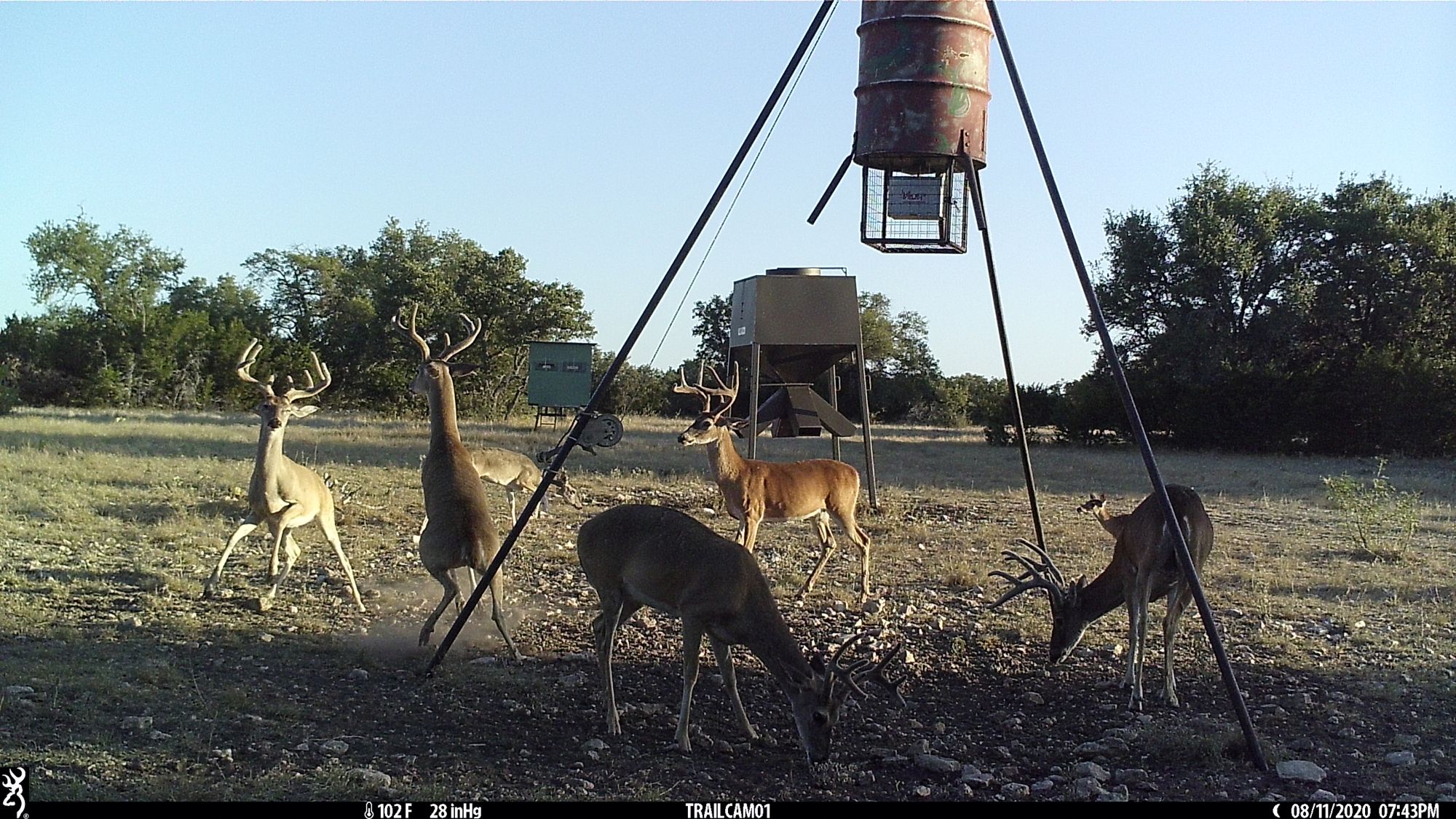 Listing Main Thumbnail #1