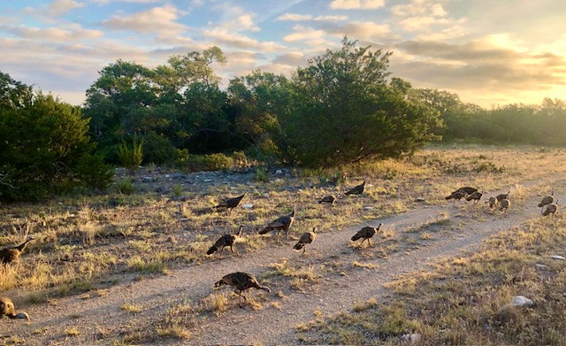 Listing Main Thumbnail #1