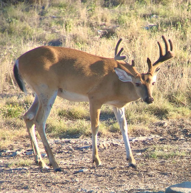 Listing Main Thumbnail #1