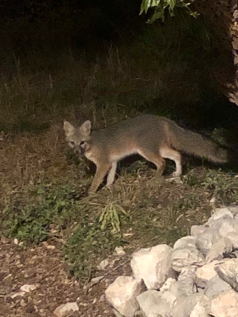 Listing Main Thumbnail #1