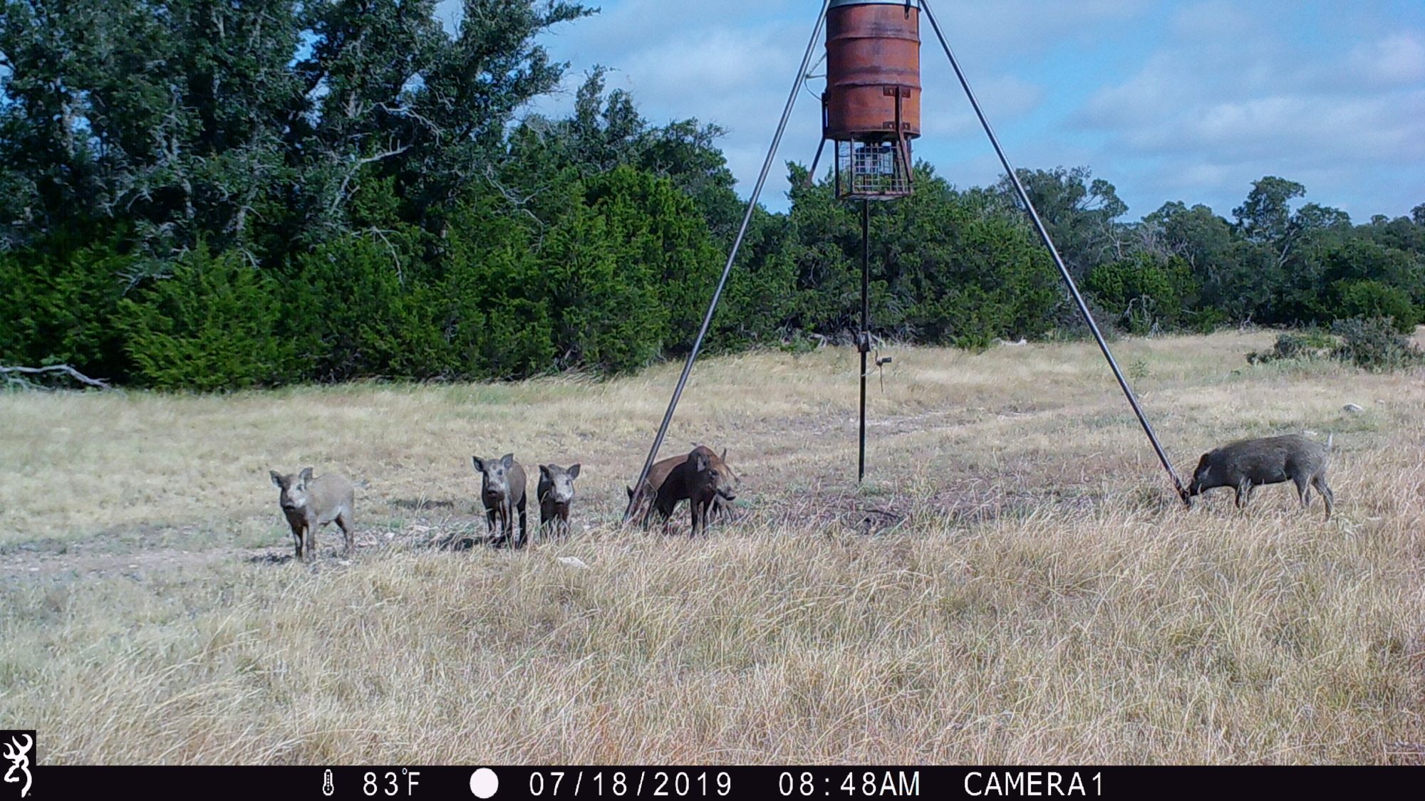 Listing Main Thumbnail #1