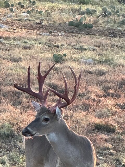 Listing Main Thumbnail #1