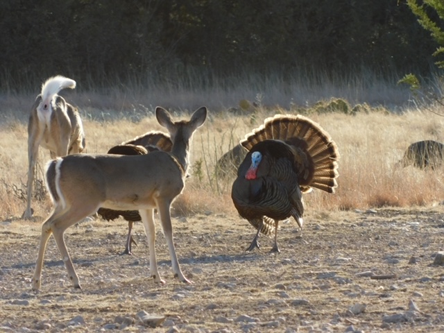 Listing Main Thumbnail #1