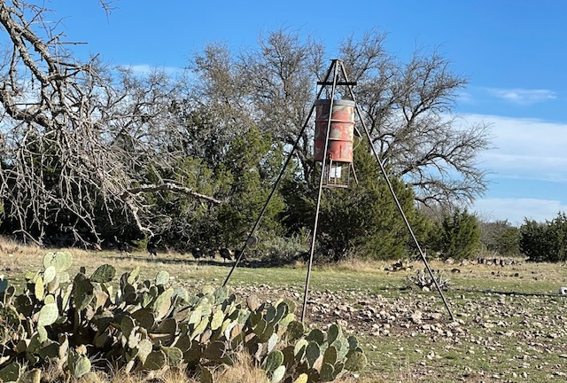 Listing Main Thumbnail #1