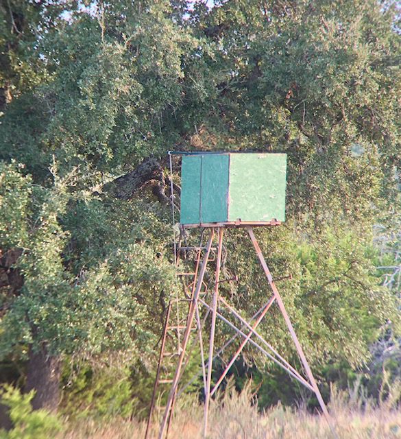 Listing Main Thumbnail #1