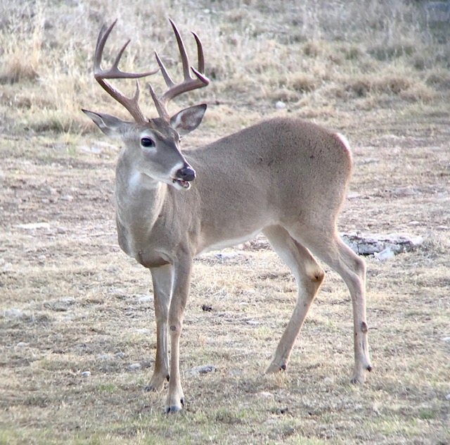 Listing Main Thumbnail #1