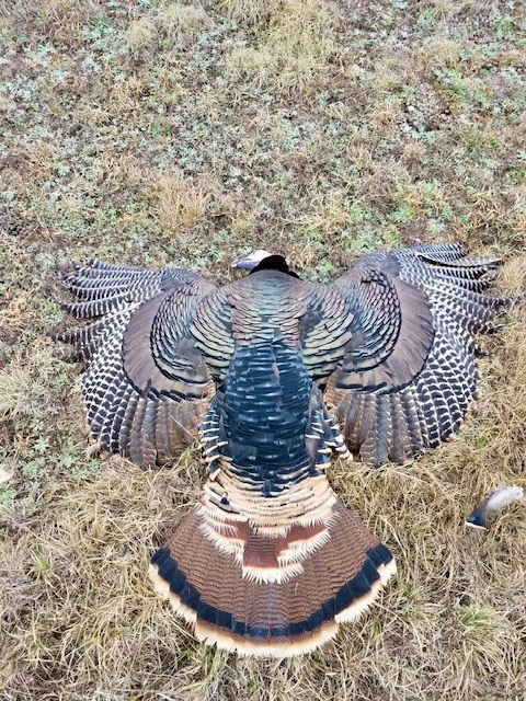 Listing Main Thumbnail #1