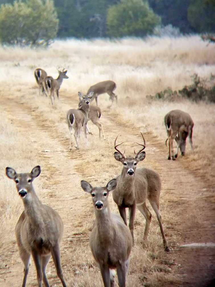 Listing Main Thumbnail #1