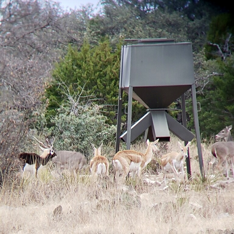 Listing Main Thumbnail #1