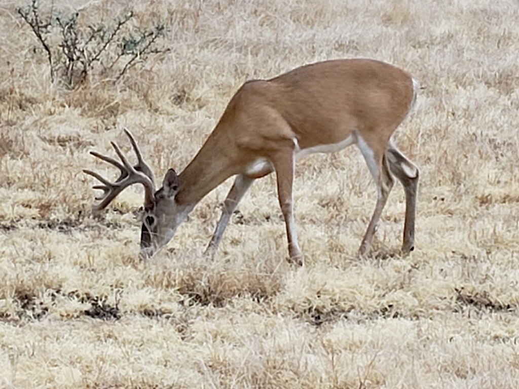 Listing Main Thumbnail #1