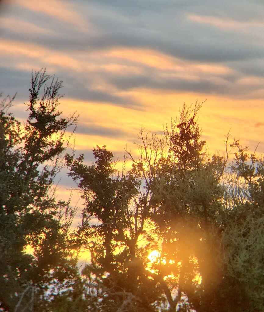 Listing Main Thumbnail #1