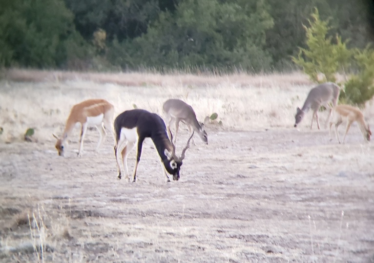 Listing Main Thumbnail #1