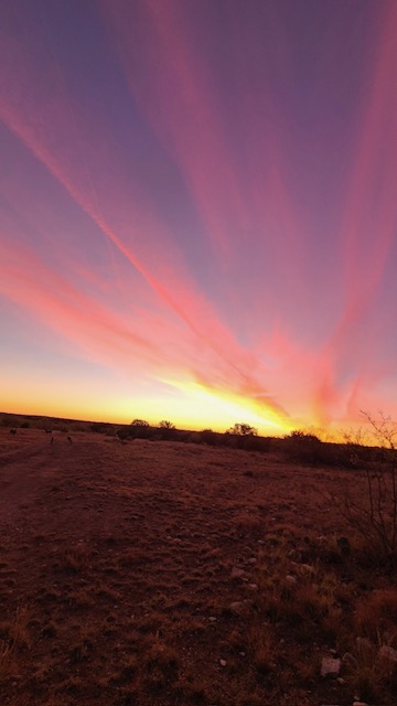 Listing Main Thumbnail #1