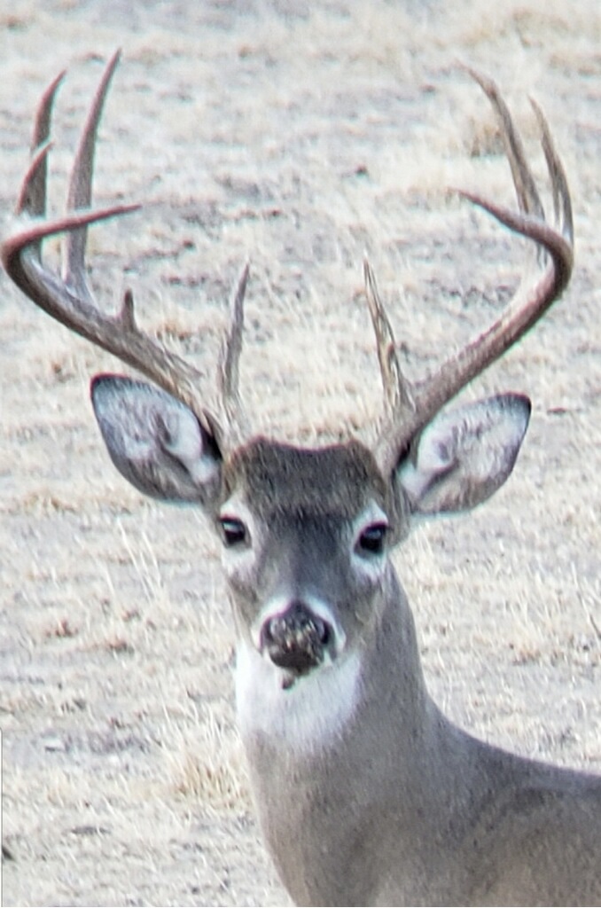 Listing Main Thumbnail #1