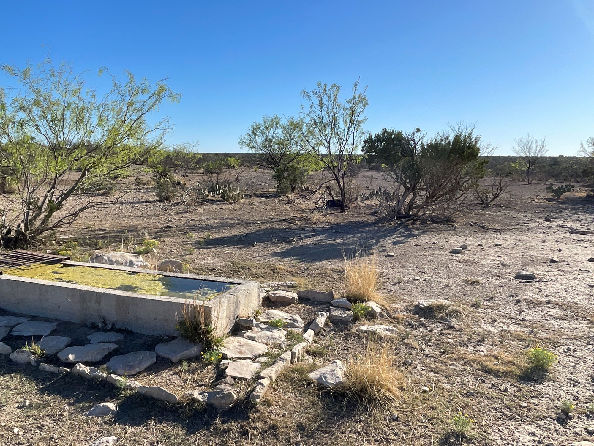 Listing Main Thumbnail #1