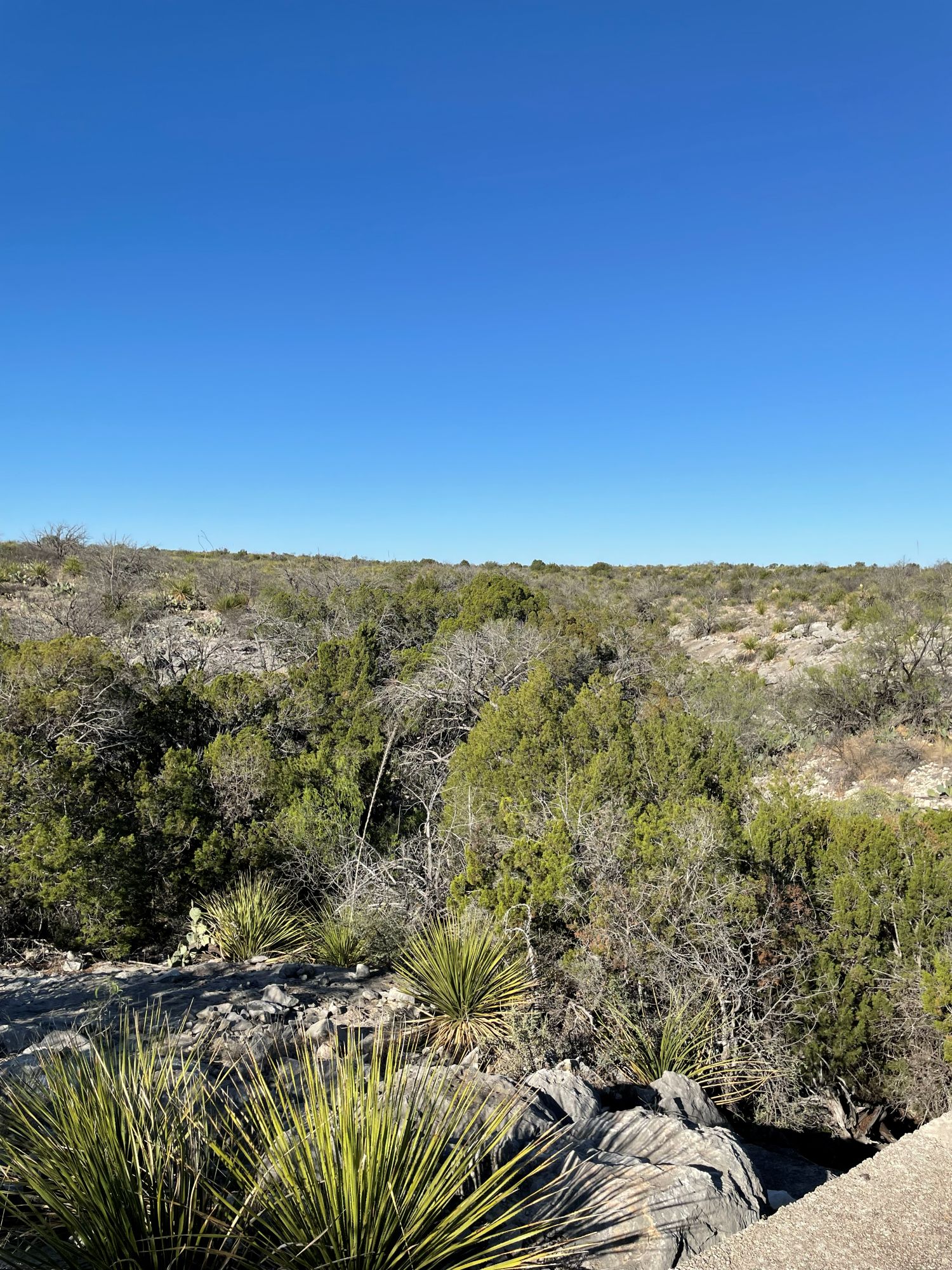 Listing Main Thumbnail #1