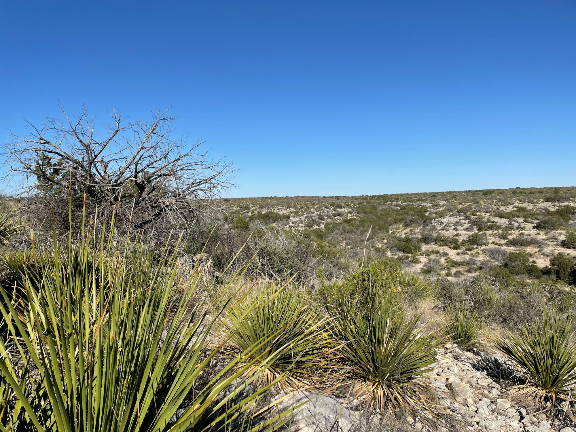 Listing Main Thumbnail #1