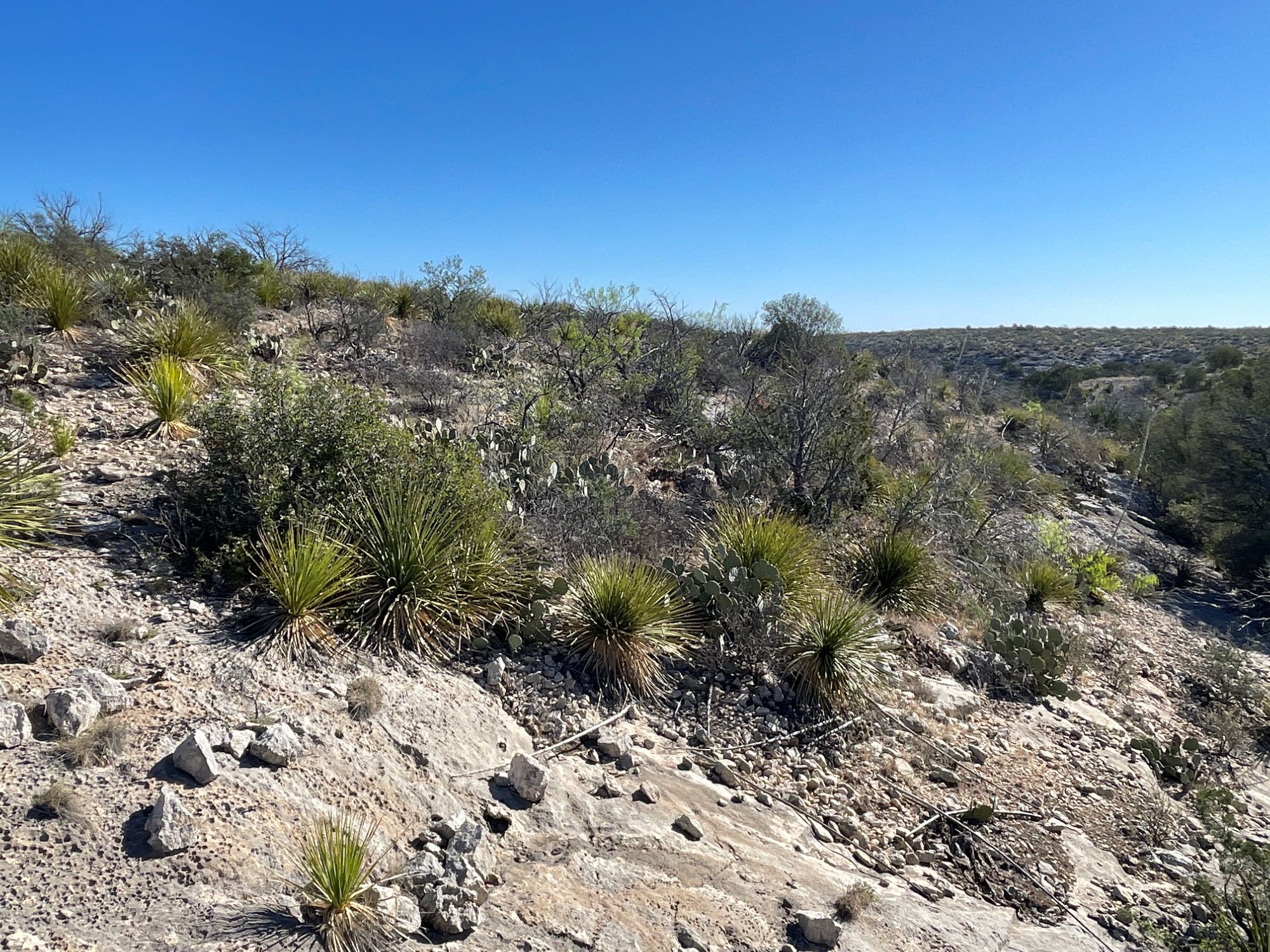 Listing Main Thumbnail #1