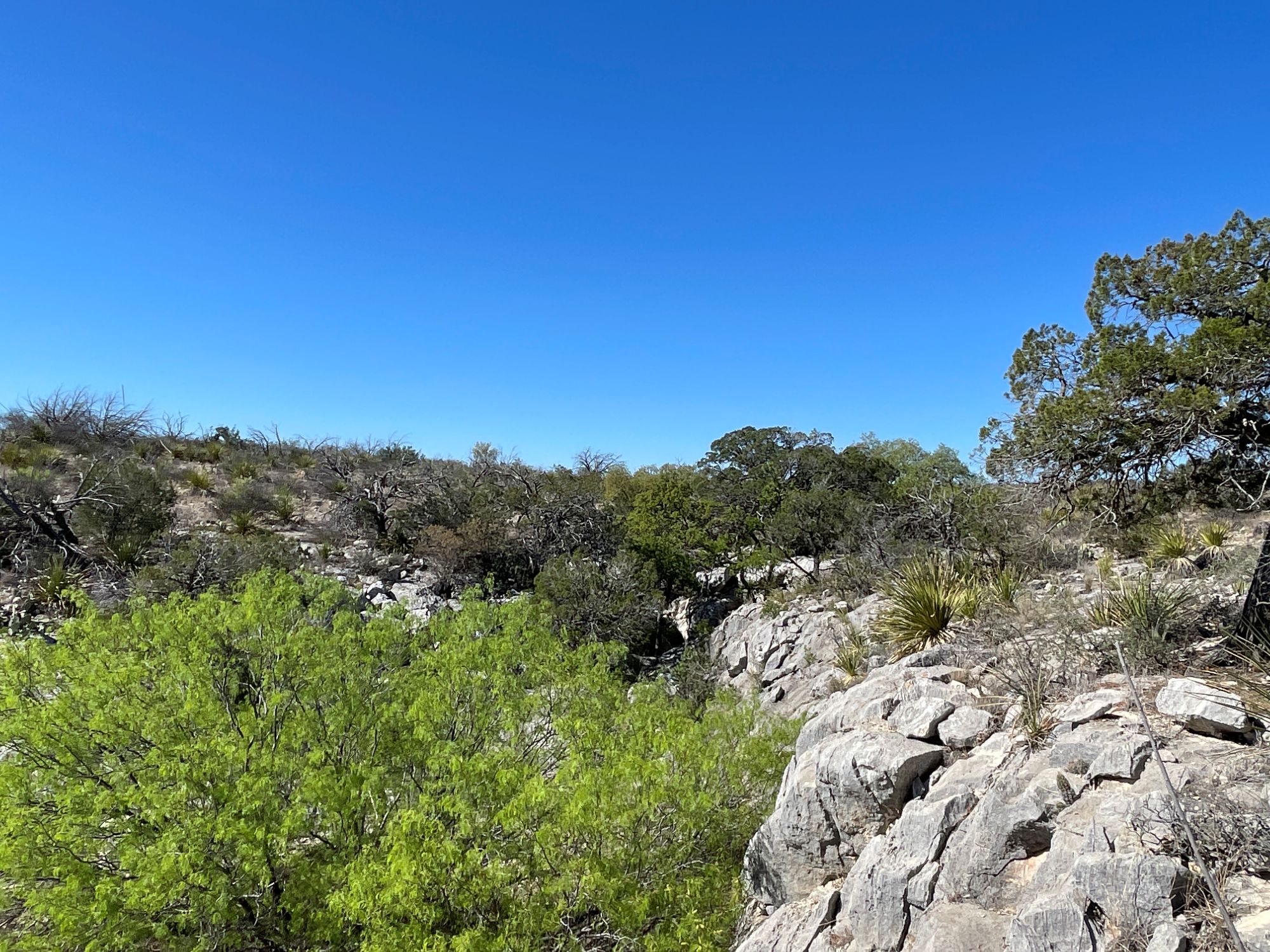 Listing Main Thumbnail #1