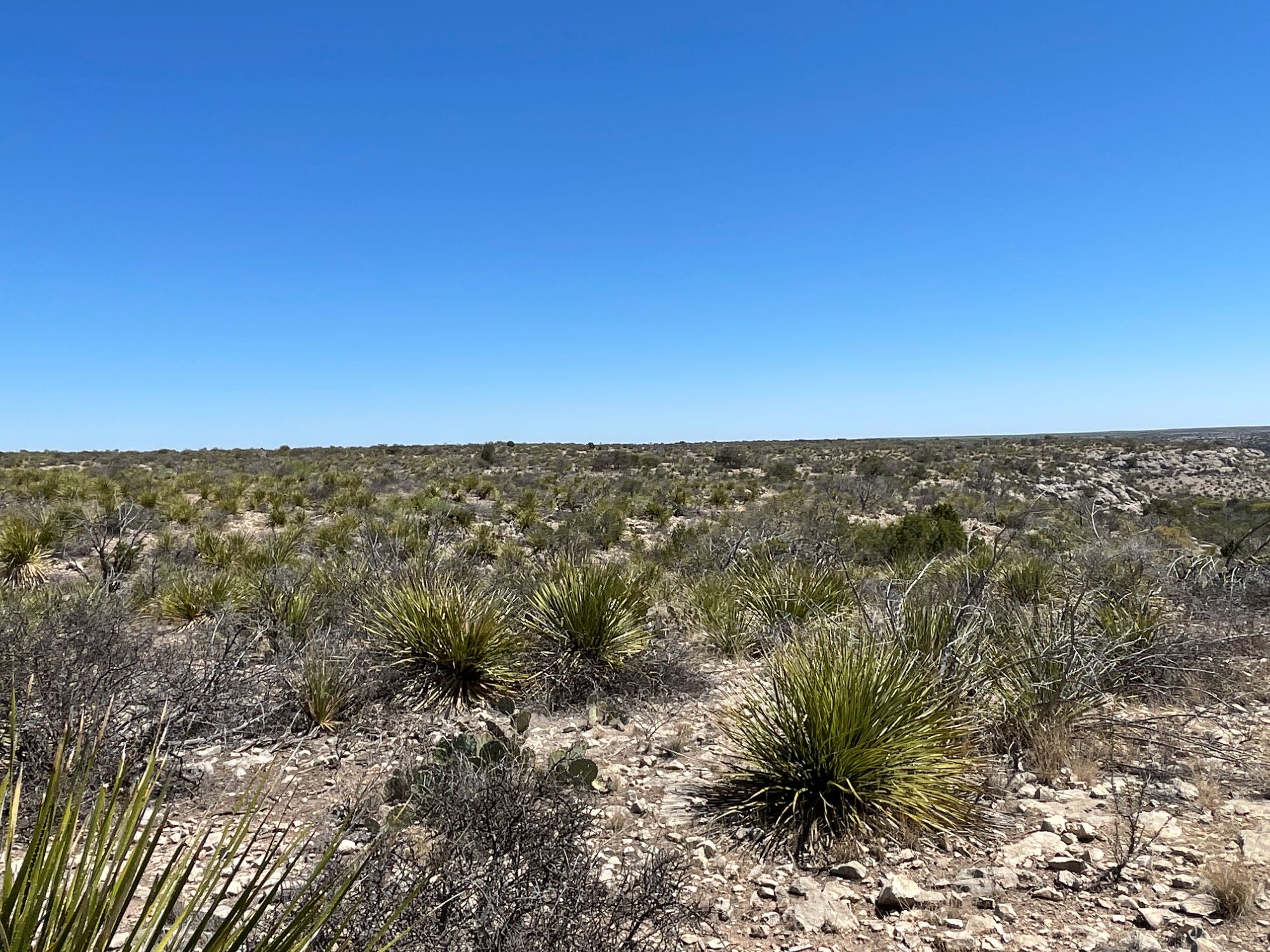 Listing Main Thumbnail #1