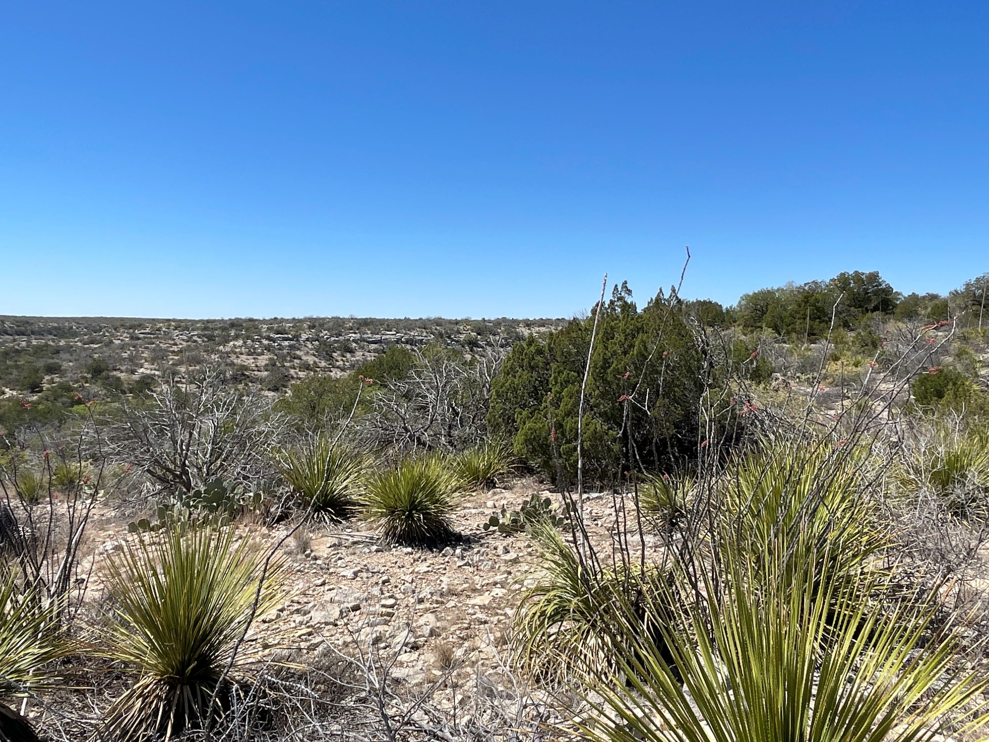 Listing Main Thumbnail #1