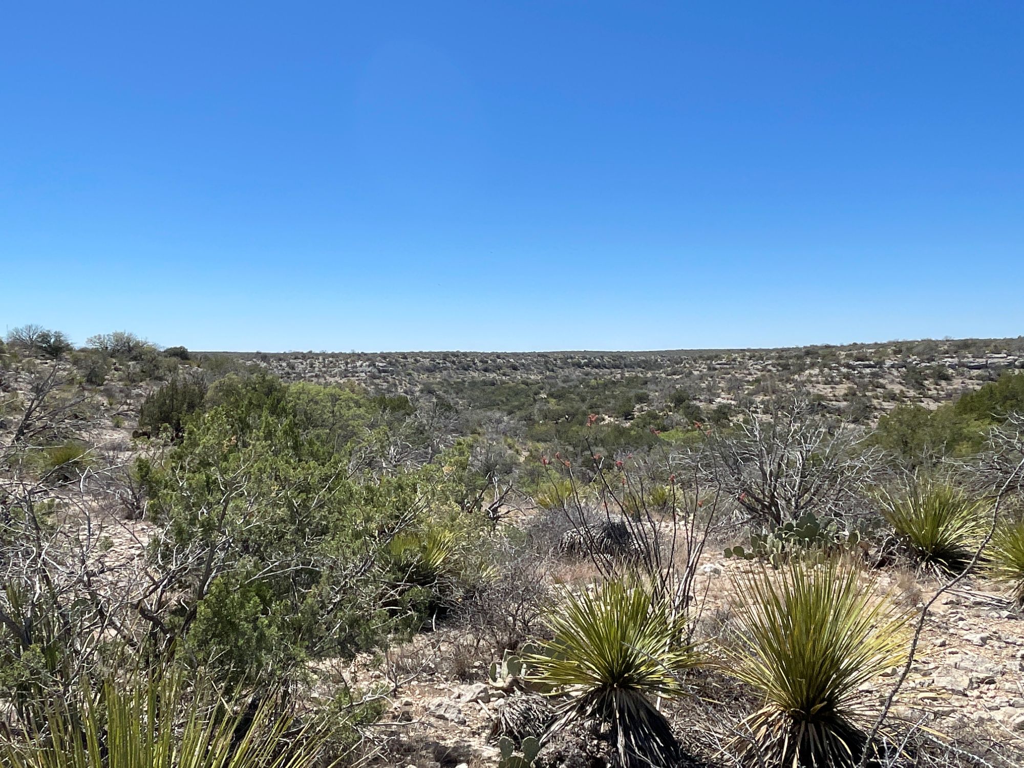 Listing Main Thumbnail #1