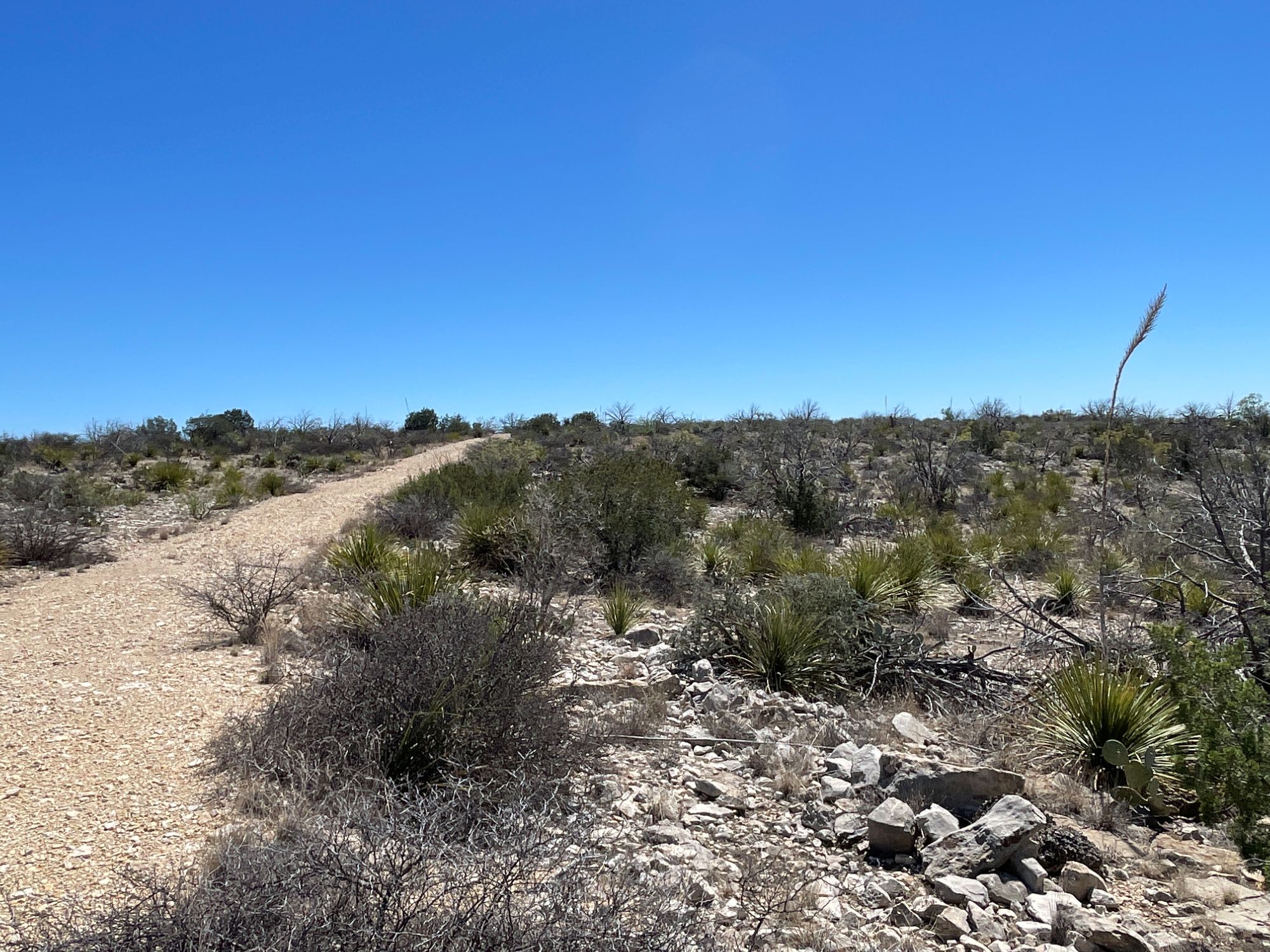 Listing Main Thumbnail #1