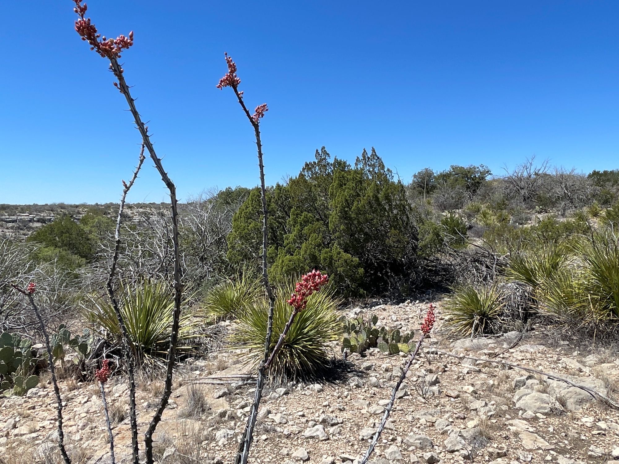 Listing Main Thumbnail #1