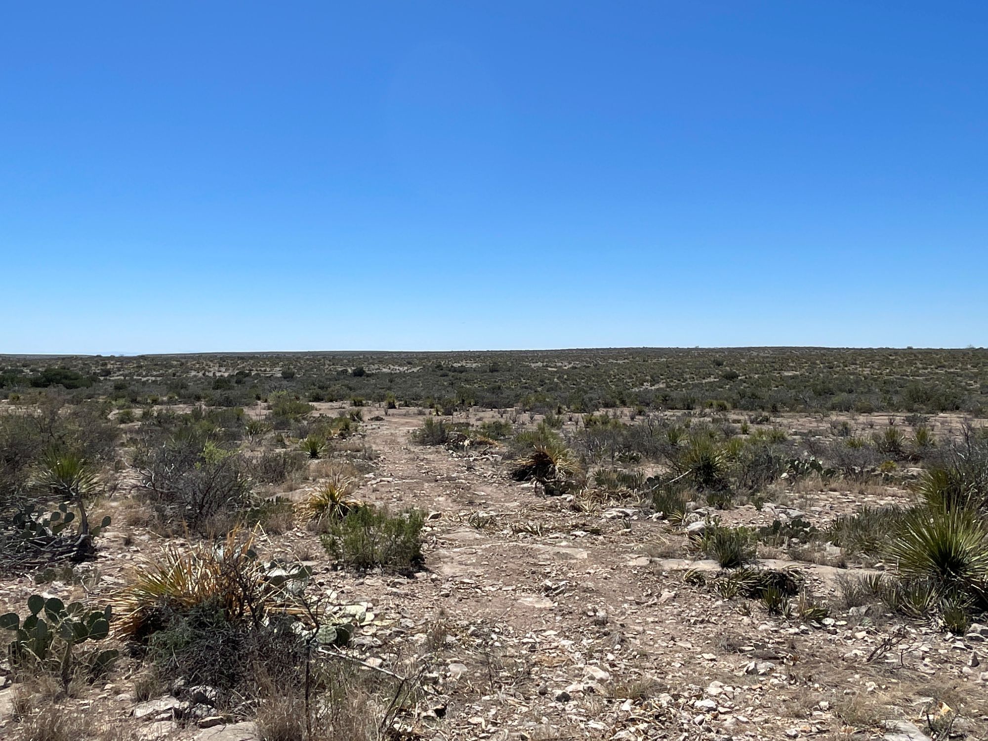 Listing Main Thumbnail #1