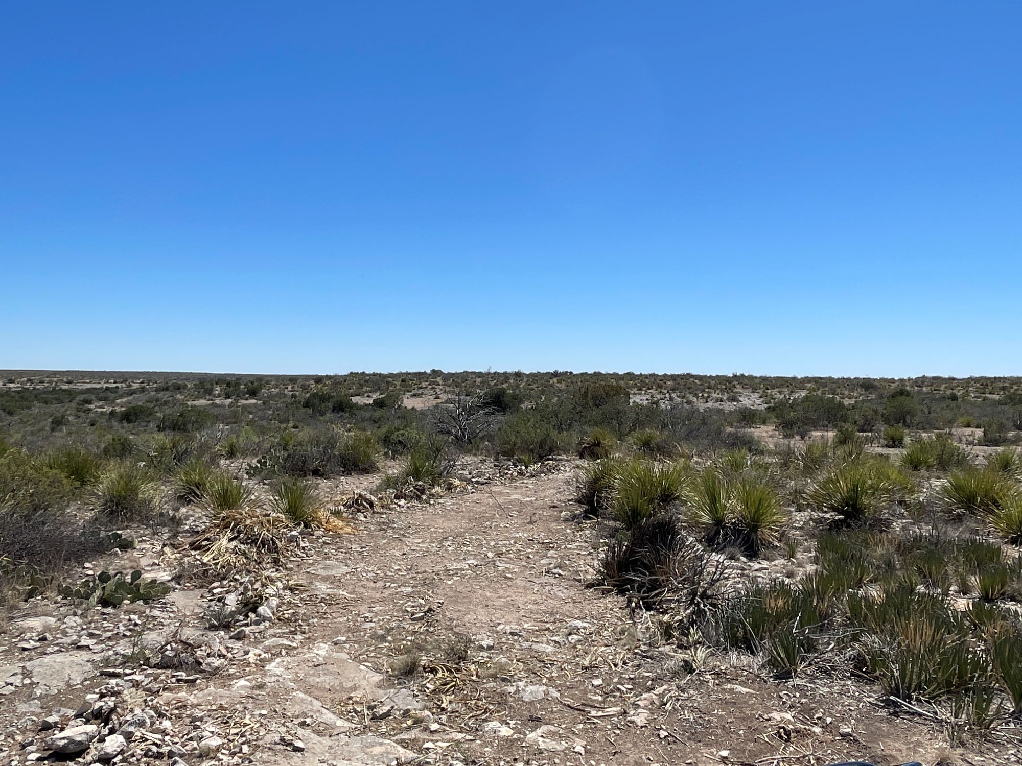 Listing Main Thumbnail #1