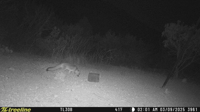 Listing Main Thumbnail #1