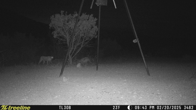 Listing Main Thumbnail #1