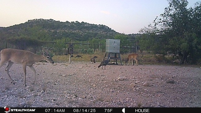 Listing Main Thumbnail #1