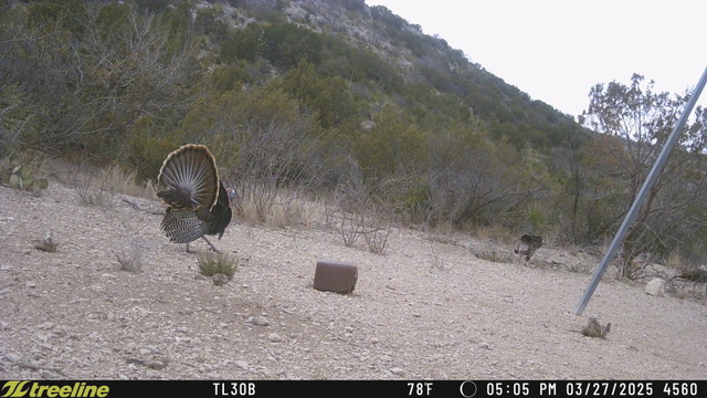 Listing Main Thumbnail #1