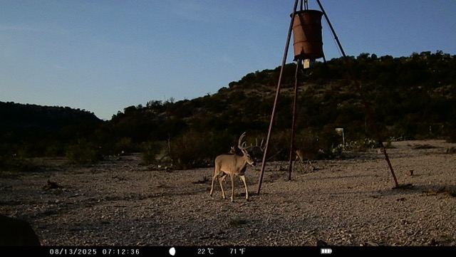 Listing Main Thumbnail #1