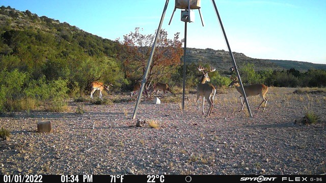 Listing Main Thumbnail #1