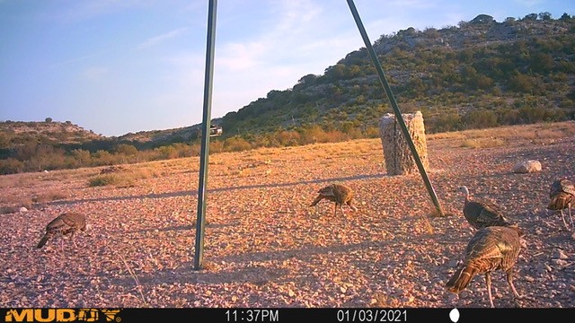 Listing Main Thumbnail #1