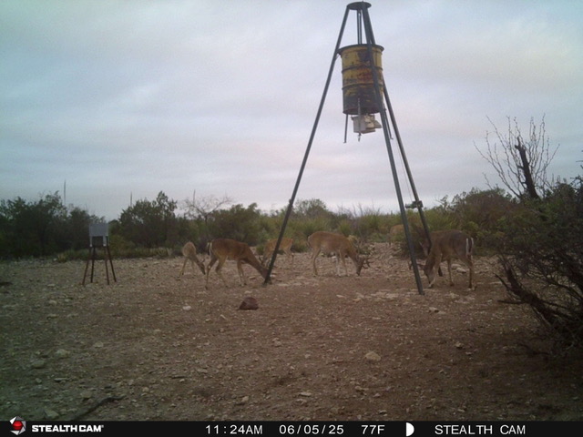 Listing Main Thumbnail #1