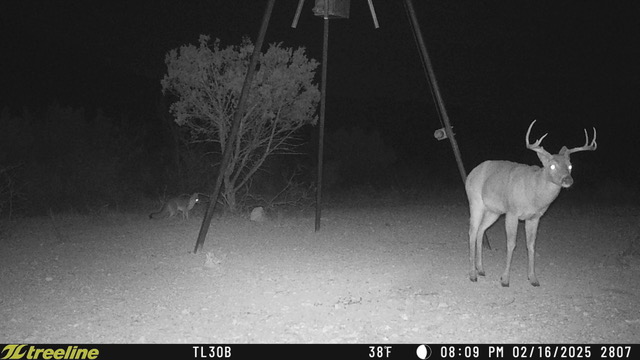 Listing Main Thumbnail #1