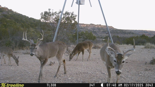 Listing Main Thumbnail #1