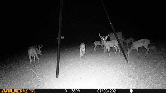 Listing Main Thumbnail #1