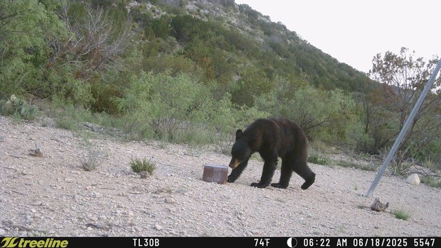 Listing Main Thumbnail #1